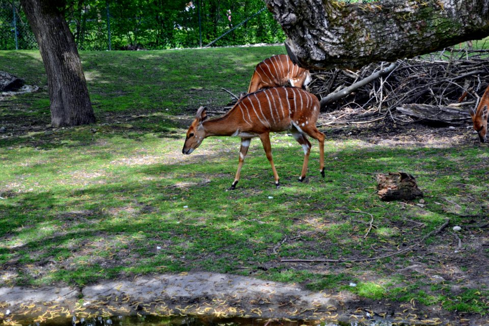tierpark