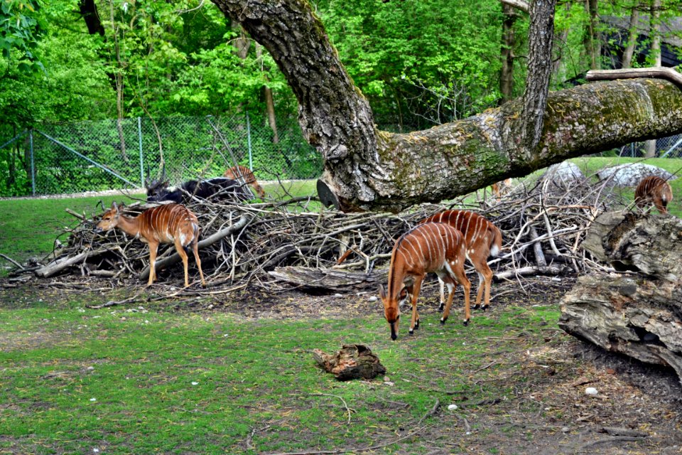 tierpark