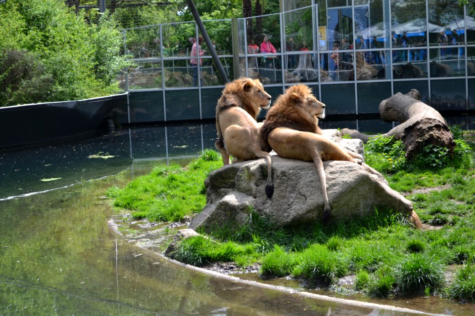 tierpark