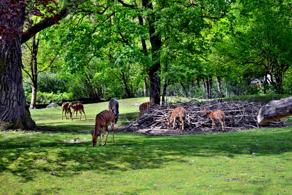 tierpark