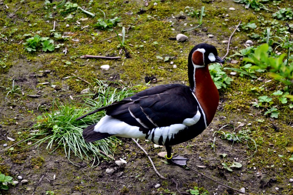 tierpark
