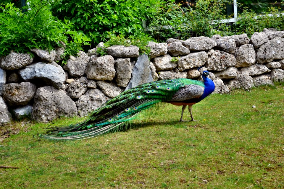 tierpark
