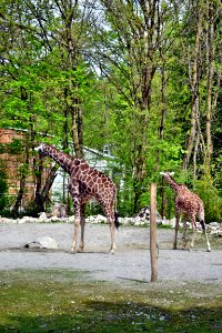 tierpark