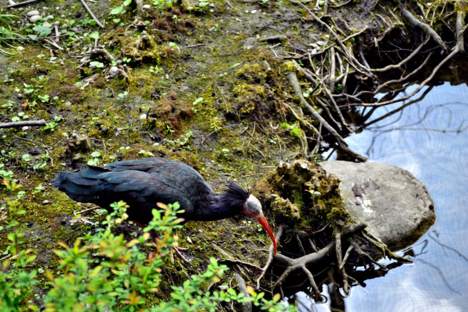 tierpark
