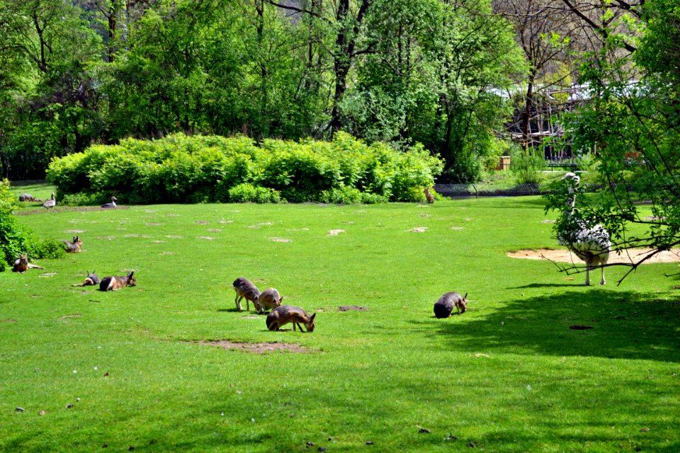 tierpark