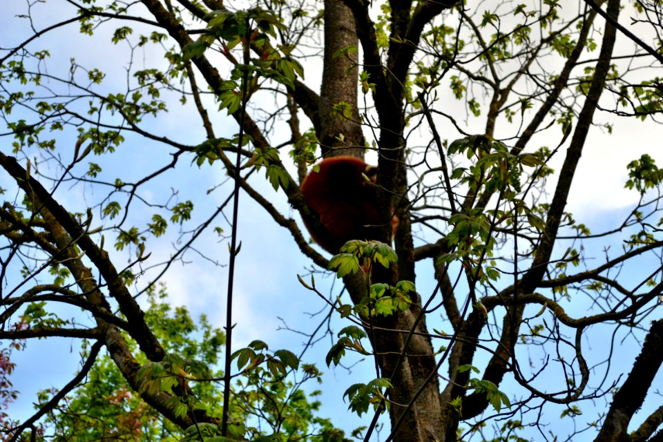 tierpark