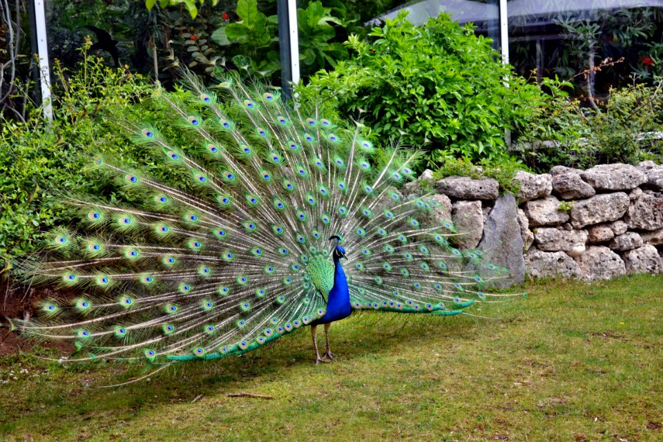 tierpark