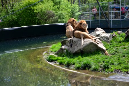 tierpark