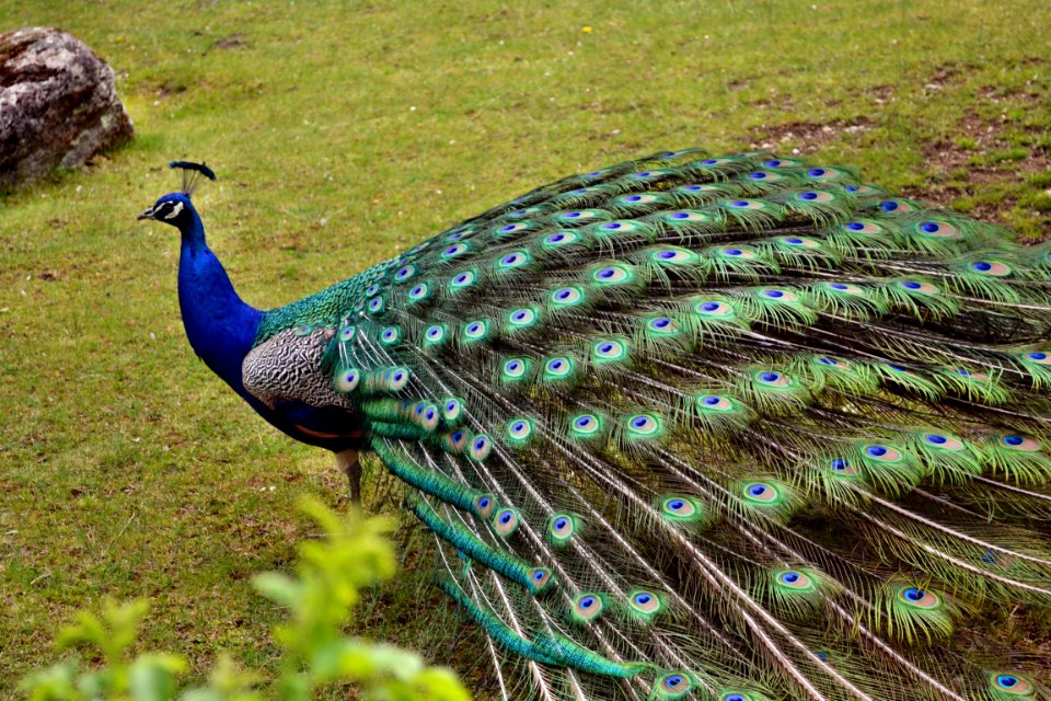 tierpark