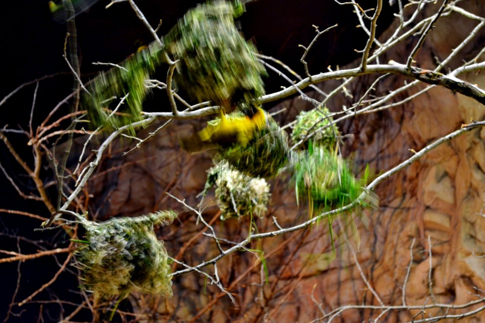 tierpark