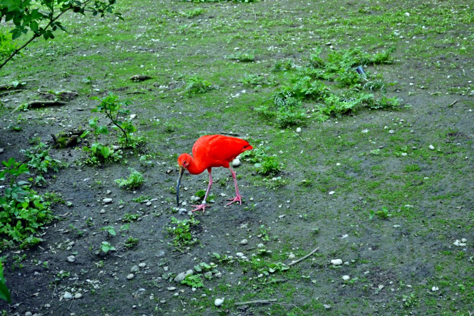 tierpark