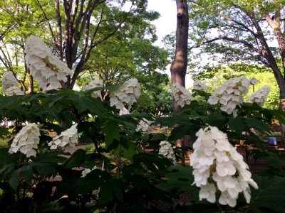Oizumi-kotsu Park in Nerima-ku