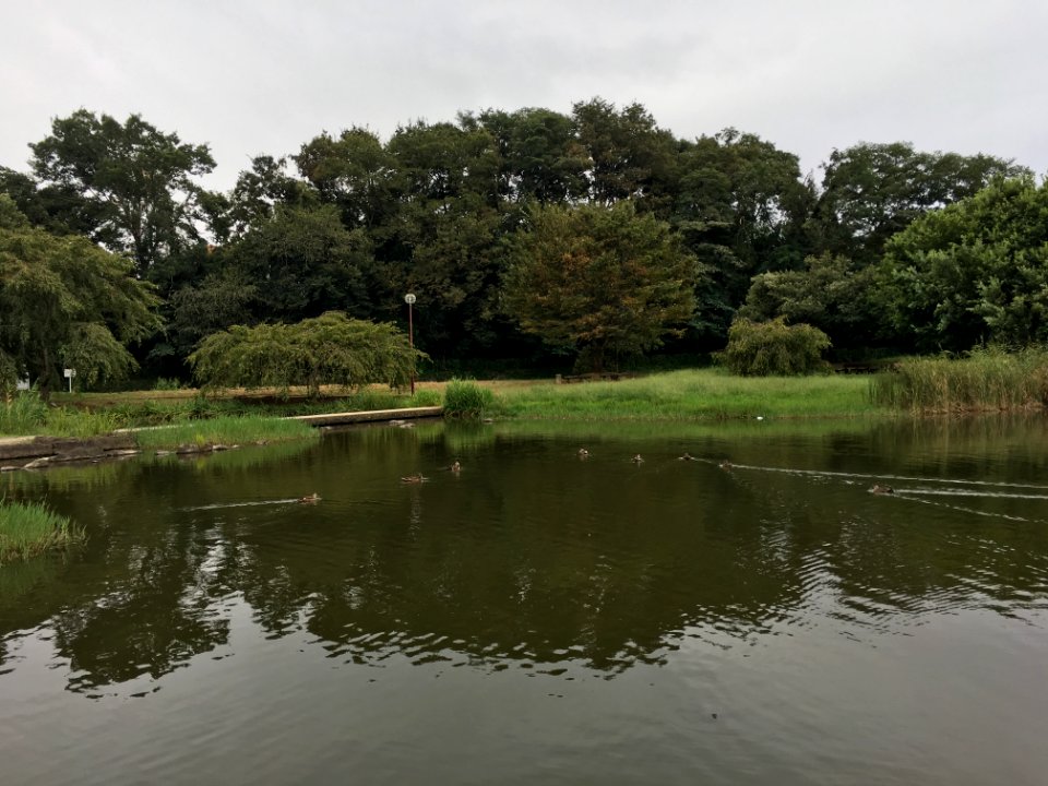 Kiyosekanayama Ryokuchi Park in Nakazato, Kiyose-shi