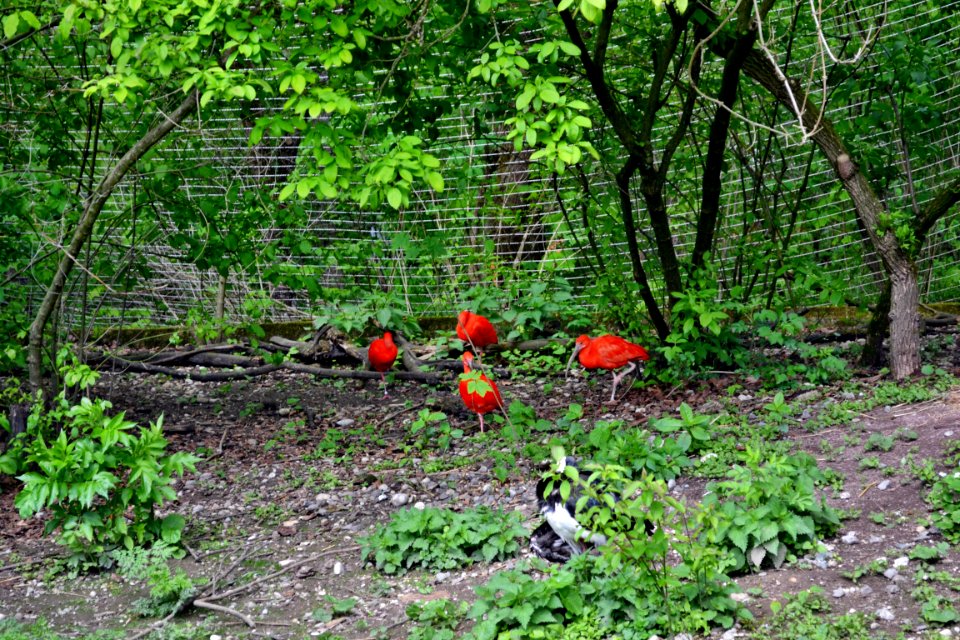 tierpark
