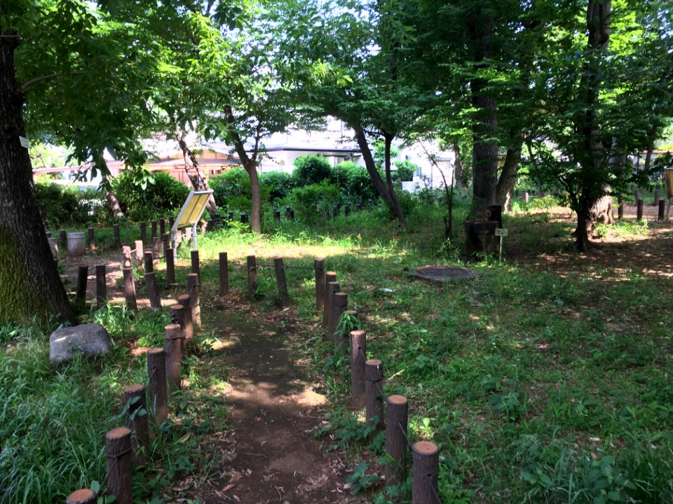 Kurinoki Forest Park in Oizumigakuencho, Nerima-ku