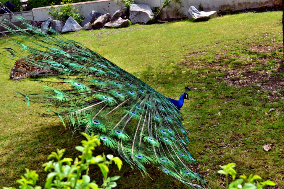 tierpark