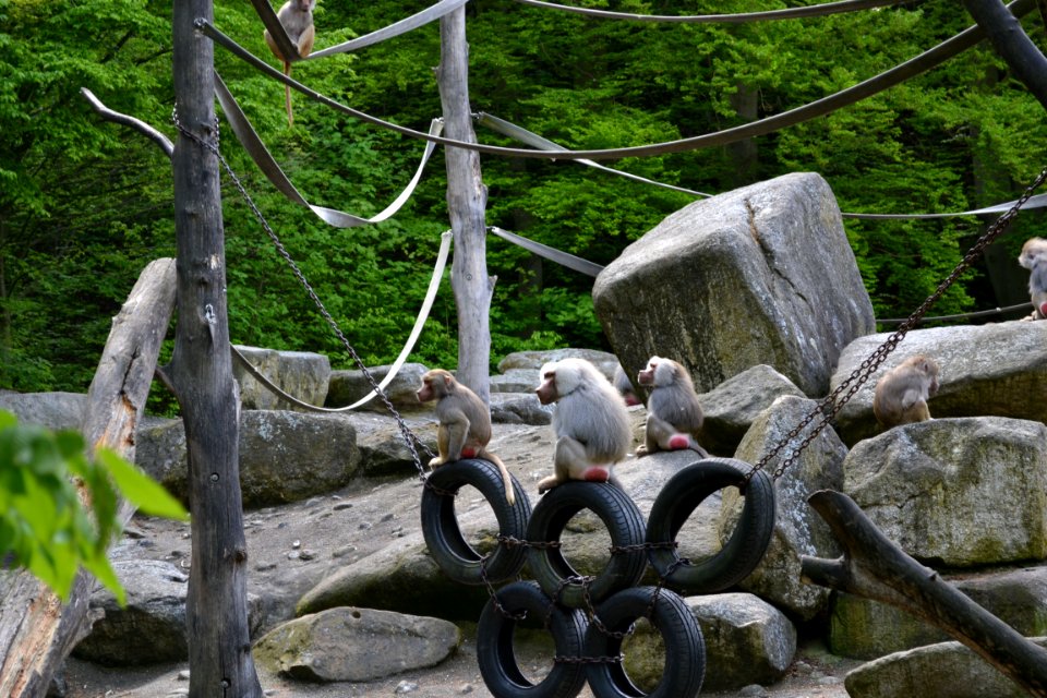 tierpark