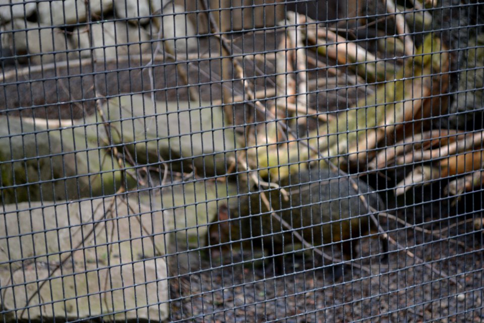tierpark