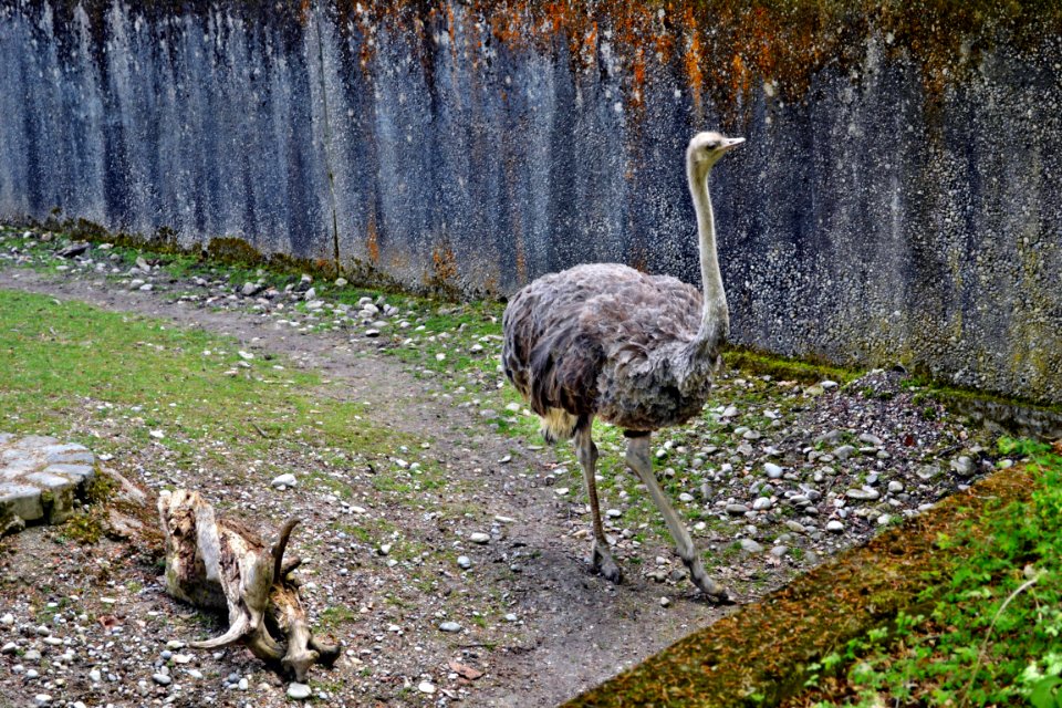 tierpark