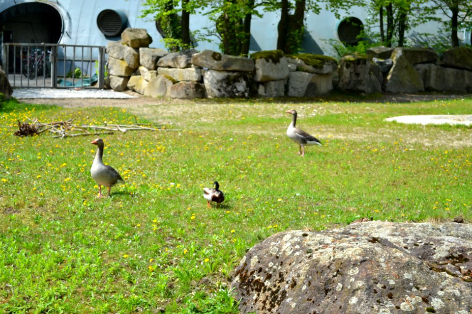 tierpark