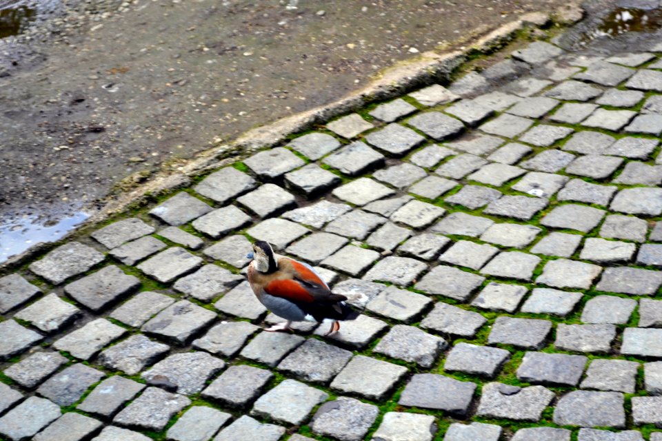 tierpark