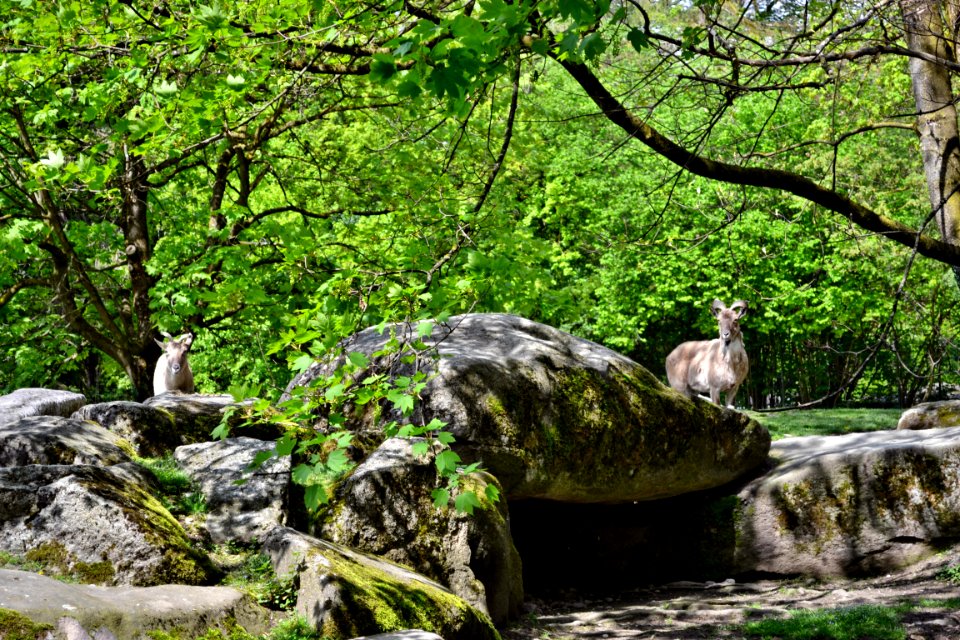 tierpark