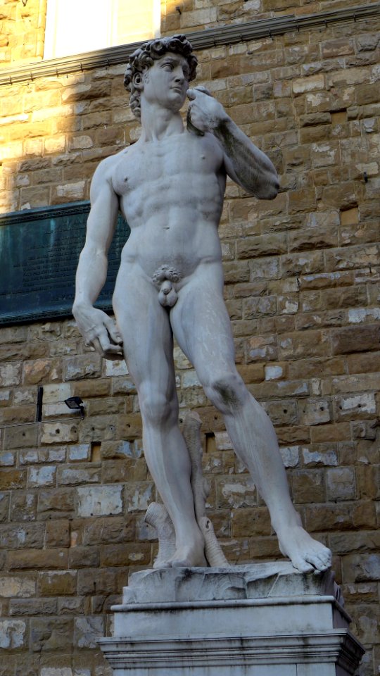 Florencia Signoria David