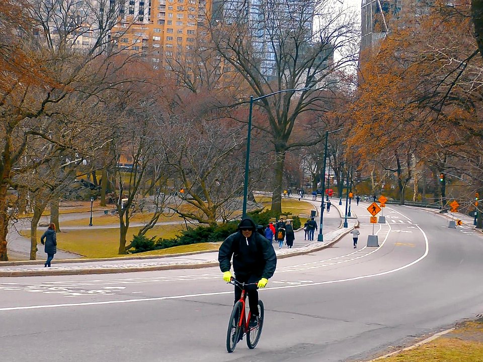 New York City  |  Central Park