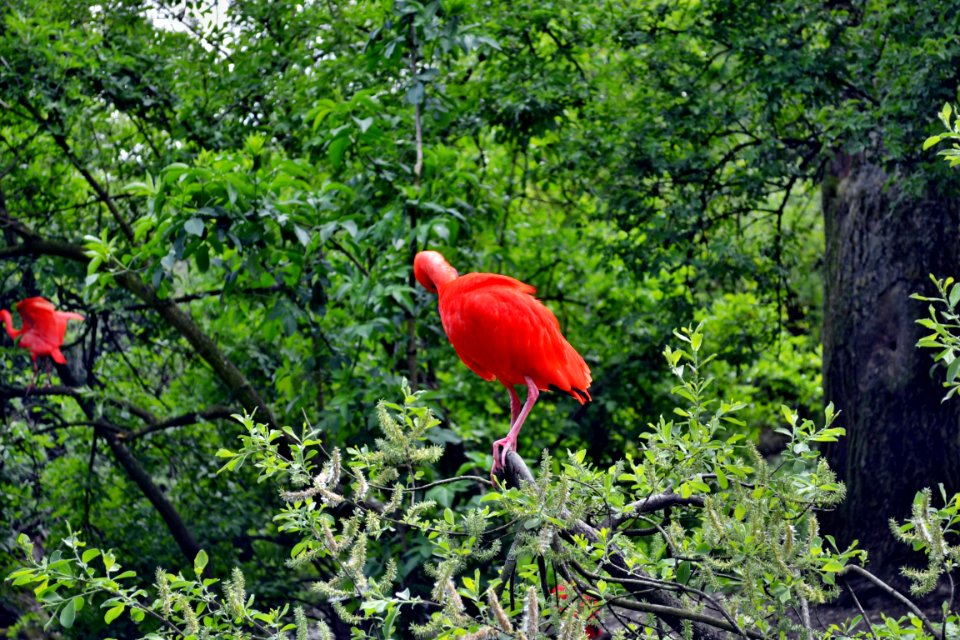 tierpark