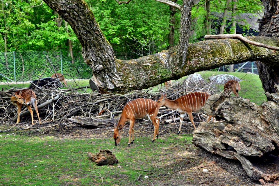 tierpark