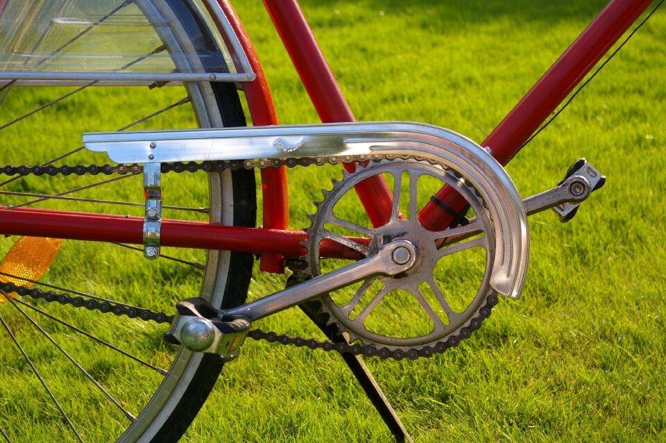 Dutch red locomotion