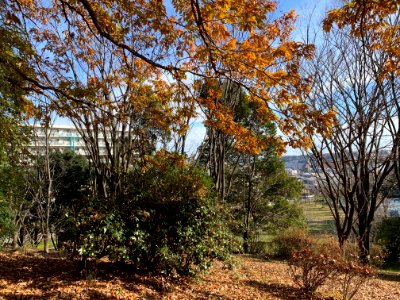 Shiroyama Park in Inagi-shi