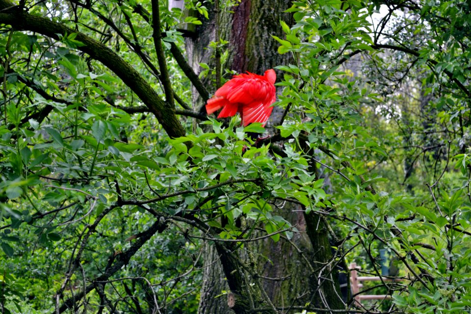 tierpark