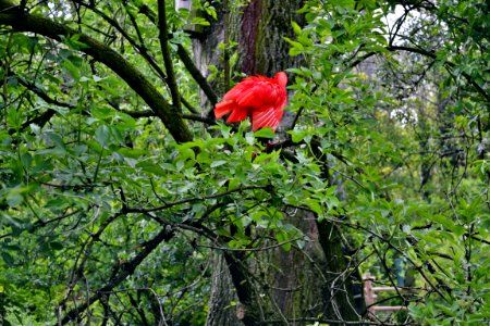 tierpark