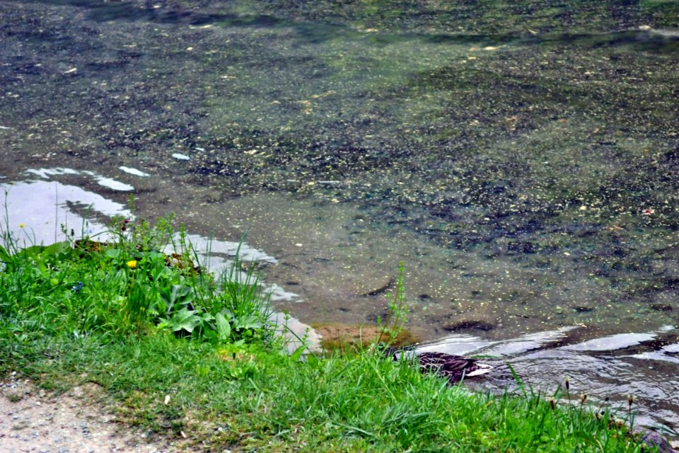 Königssee