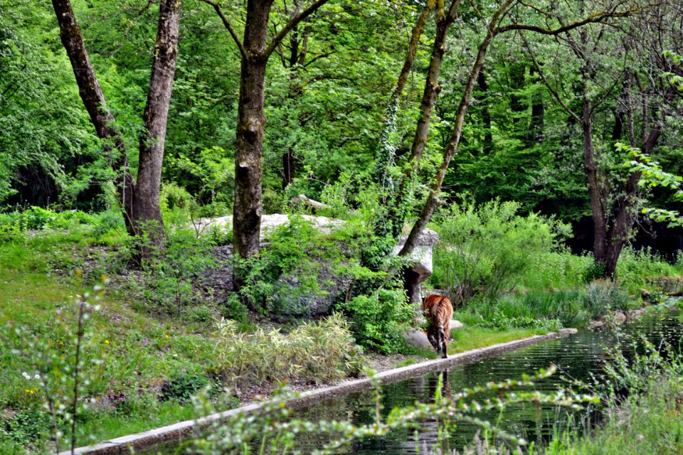 tierpark