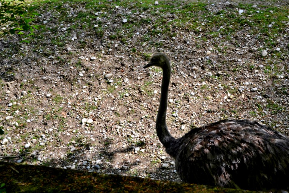 tierpark