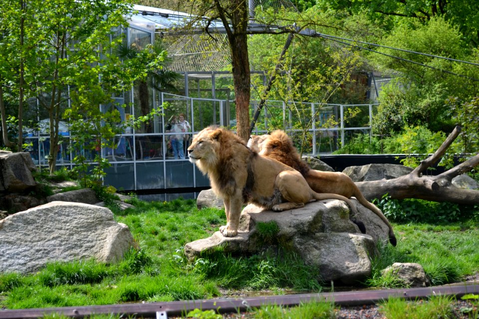 tierpark