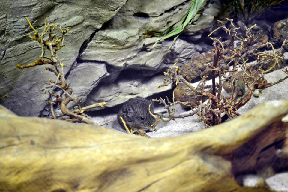 tierpark