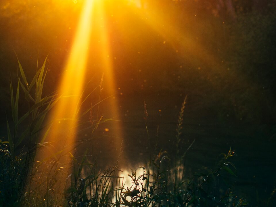 Water nature outdoors
