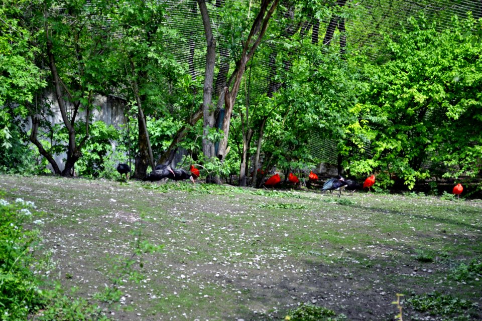 tierpark