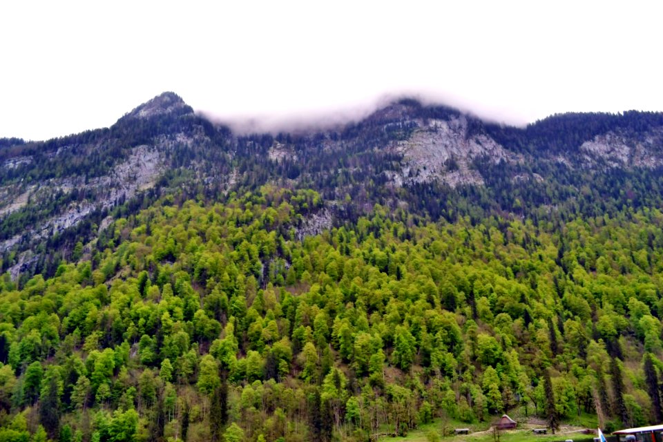 Königssee
