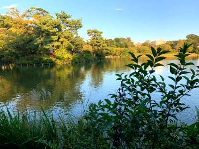 Senzokuike Park in Ota-ku