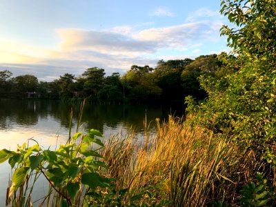 Senzokuike Park in Ota-ku