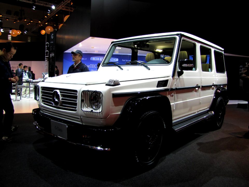Mercedes-Benz G-Klasse (W463)