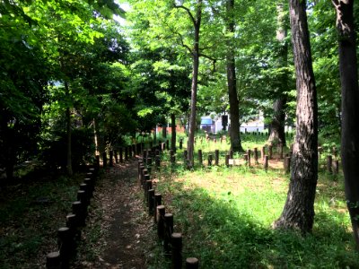 Kurinoki Forest Park in Oizumigakuencho, Nerima-ku photo