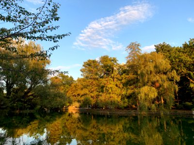 Shakujii Park in Nerima-ku photo