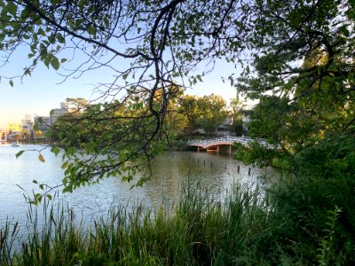 Senzokuike Park in Ota-ku