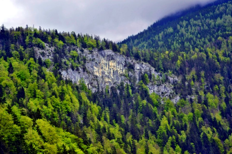 Königssee