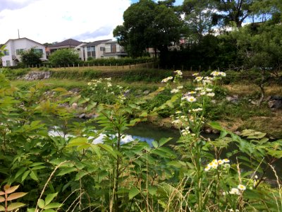 Nakazato in Kiyose-shi